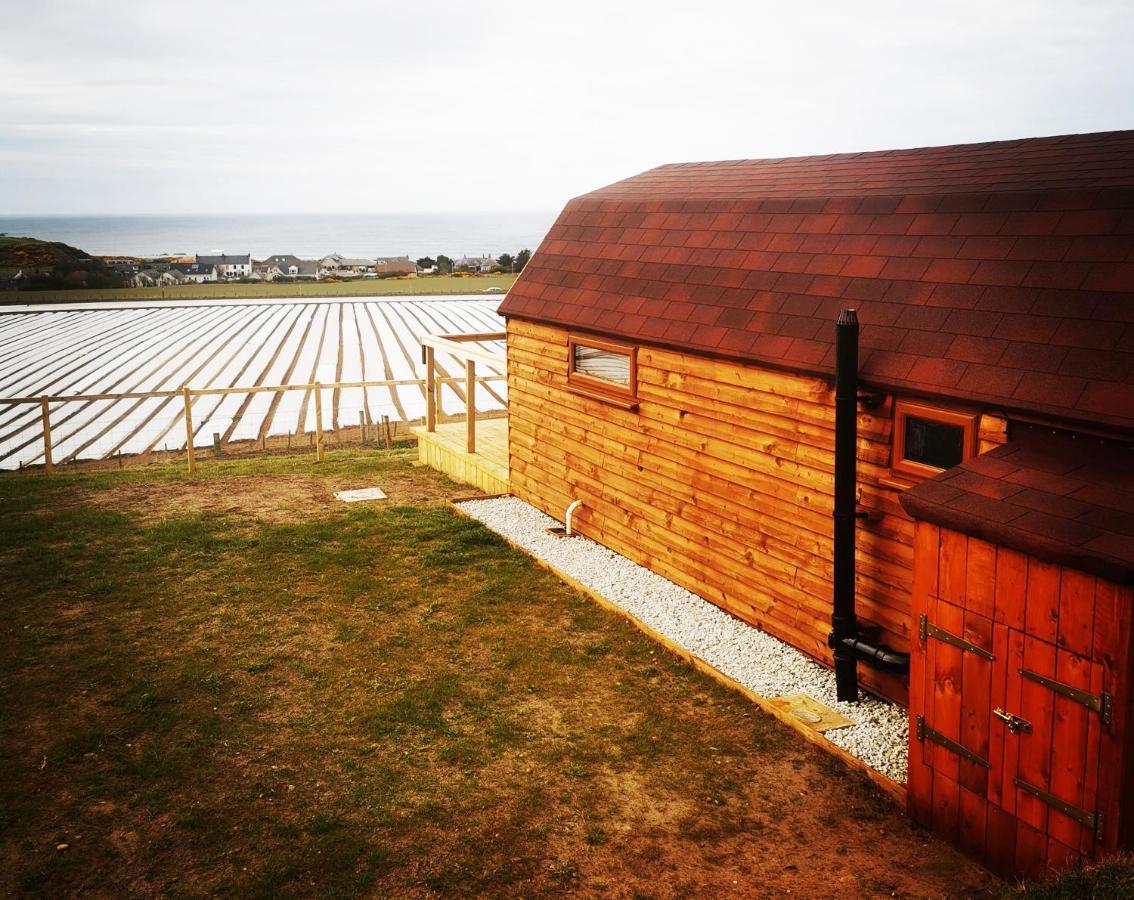 Gowanview Glamping Ξενοδοχείο Μπανφ Εξωτερικό φωτογραφία